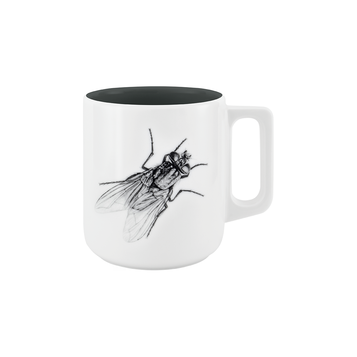 becher mit henkel . innen farbig . fliege .