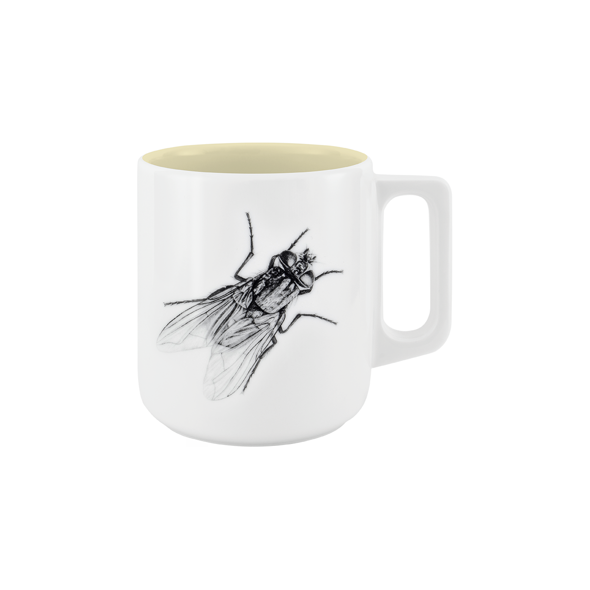 becher mit henkel . innen farbig . fliege .