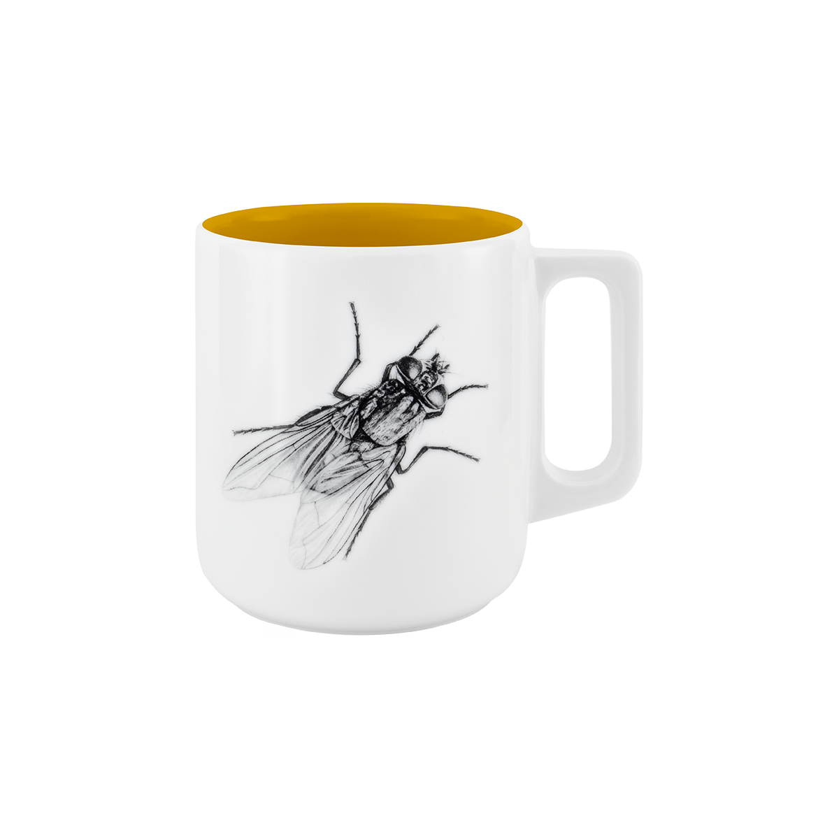 becher mit henkel . innen farbig . fliege .