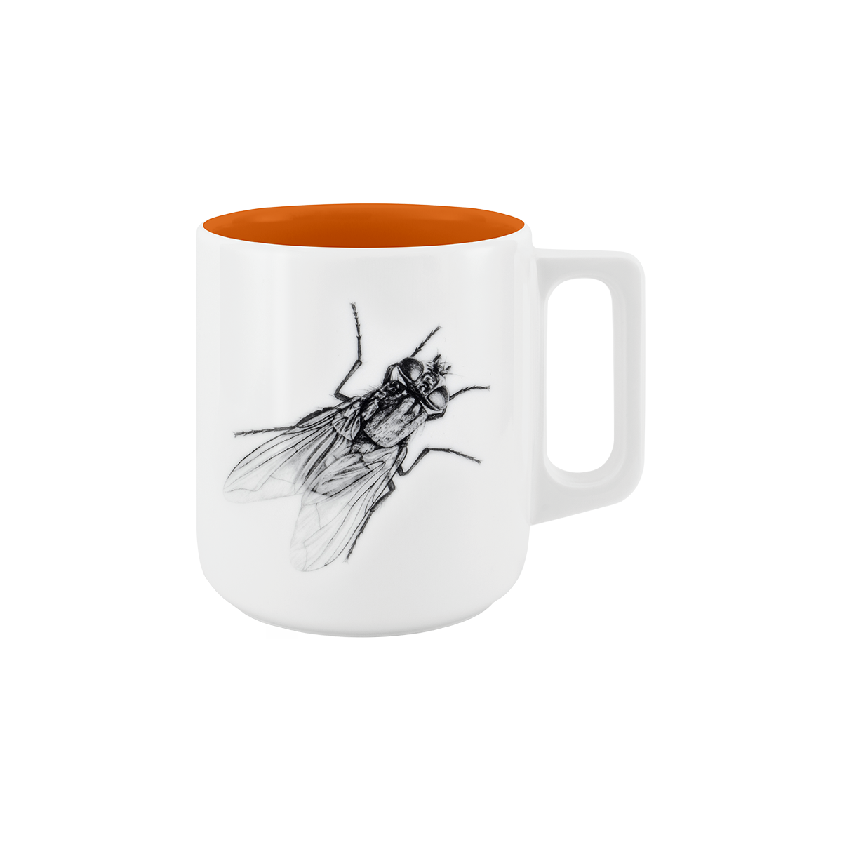 becher mit henkel . innen farbig . fliege .