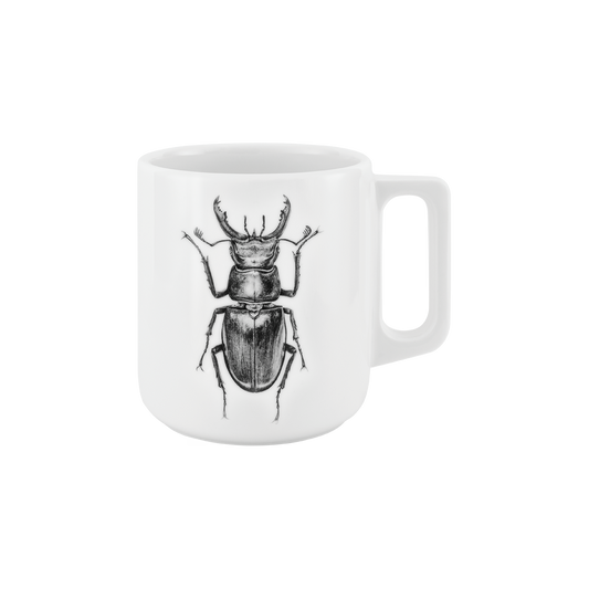 becher mit henkel . hirschkäfer .