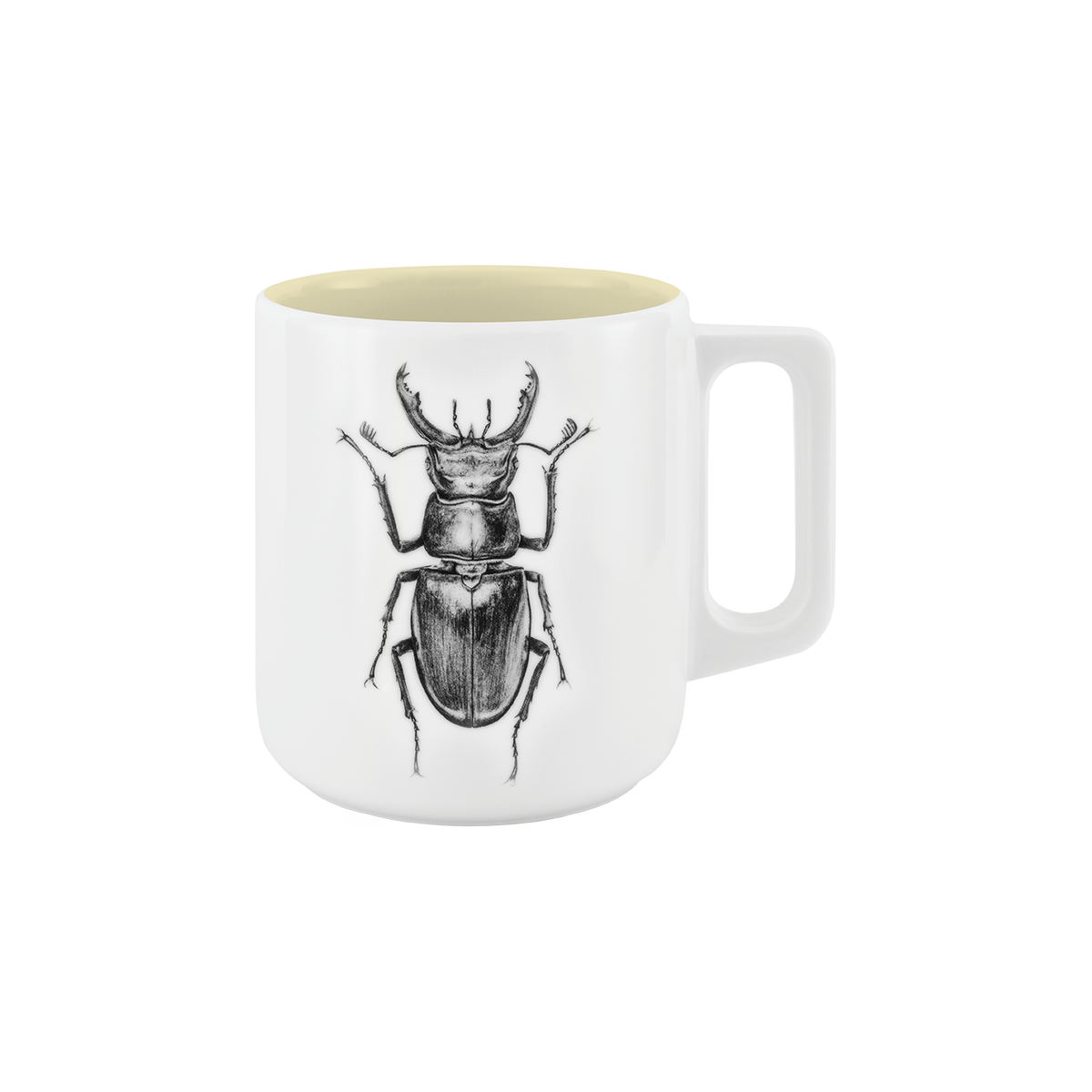 becher mit henkel . innen farbig . hirschkäfer .