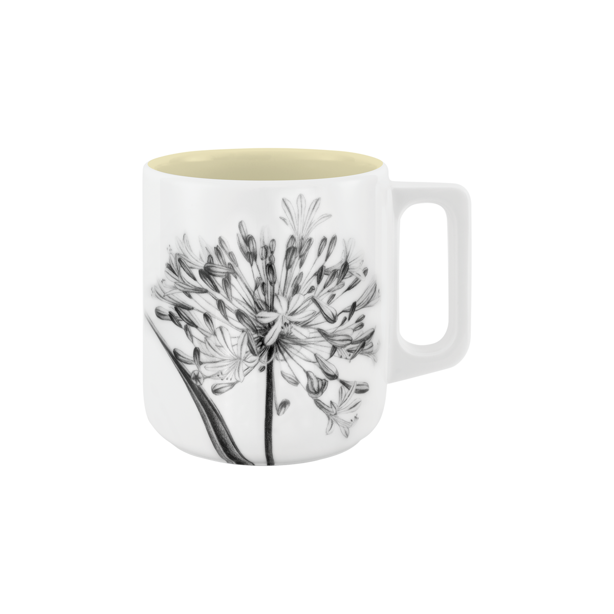 becher mit henkel . innen farbig . schmucklilie .