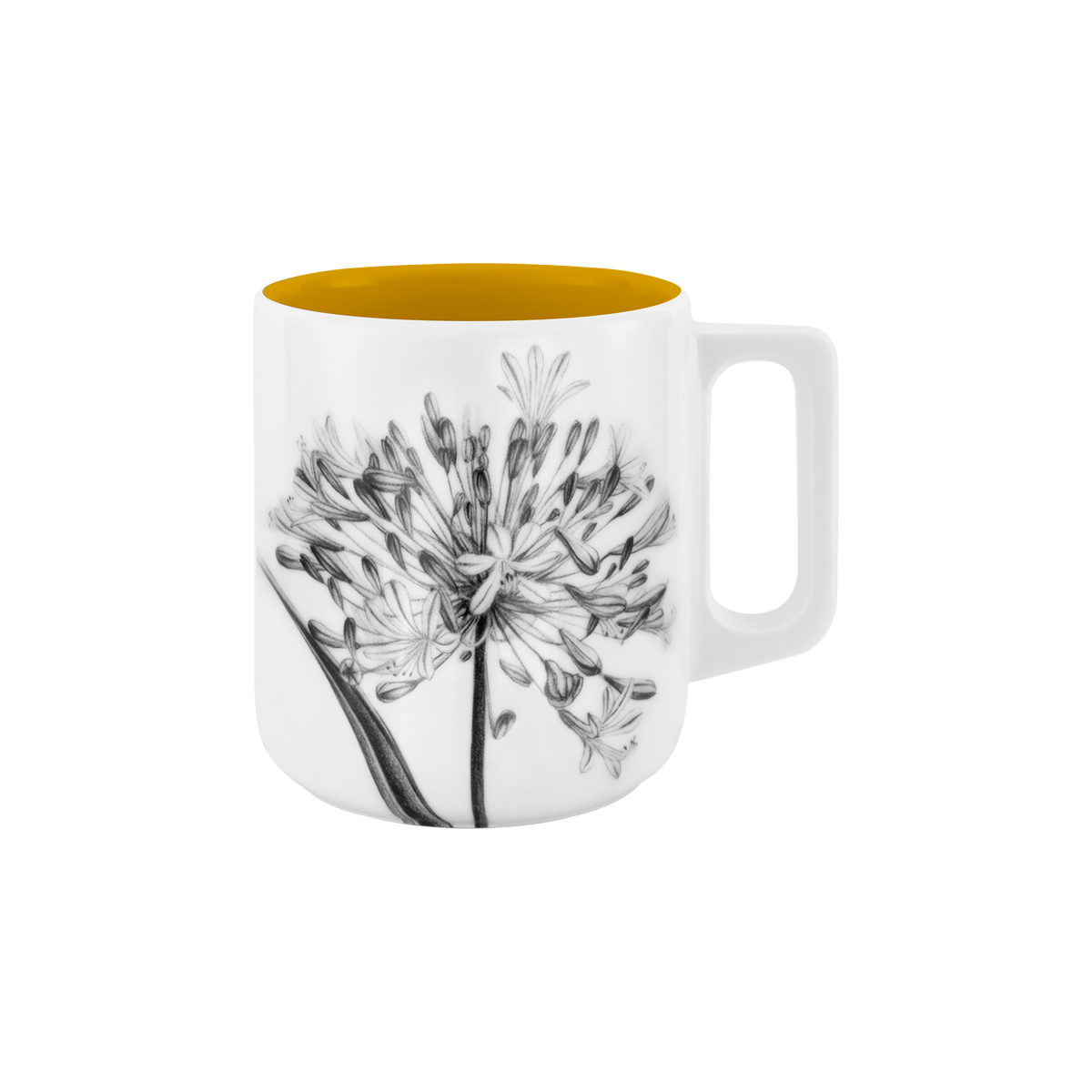 becher mit henkel . innen farbig . schmucklilie .