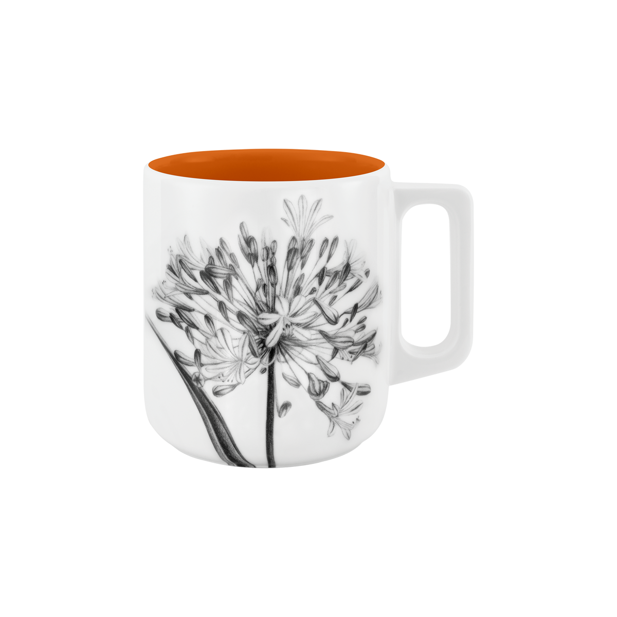 becher mit henkel . innen farbig . schmucklilie .