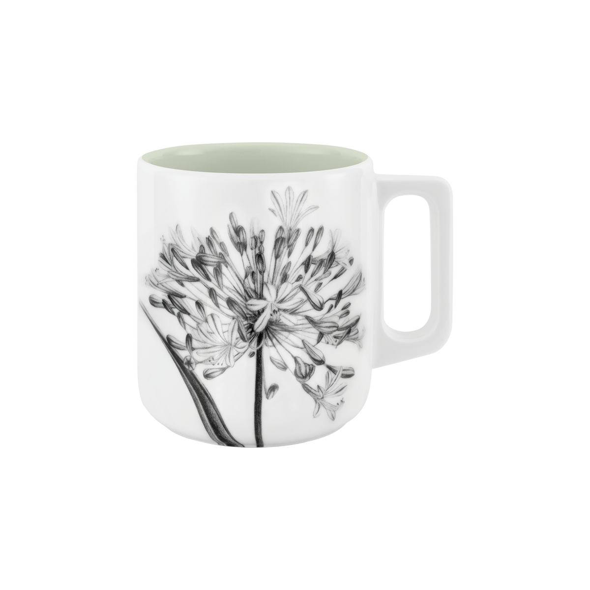 becher mit henkel . innen farbig . schmucklilie .