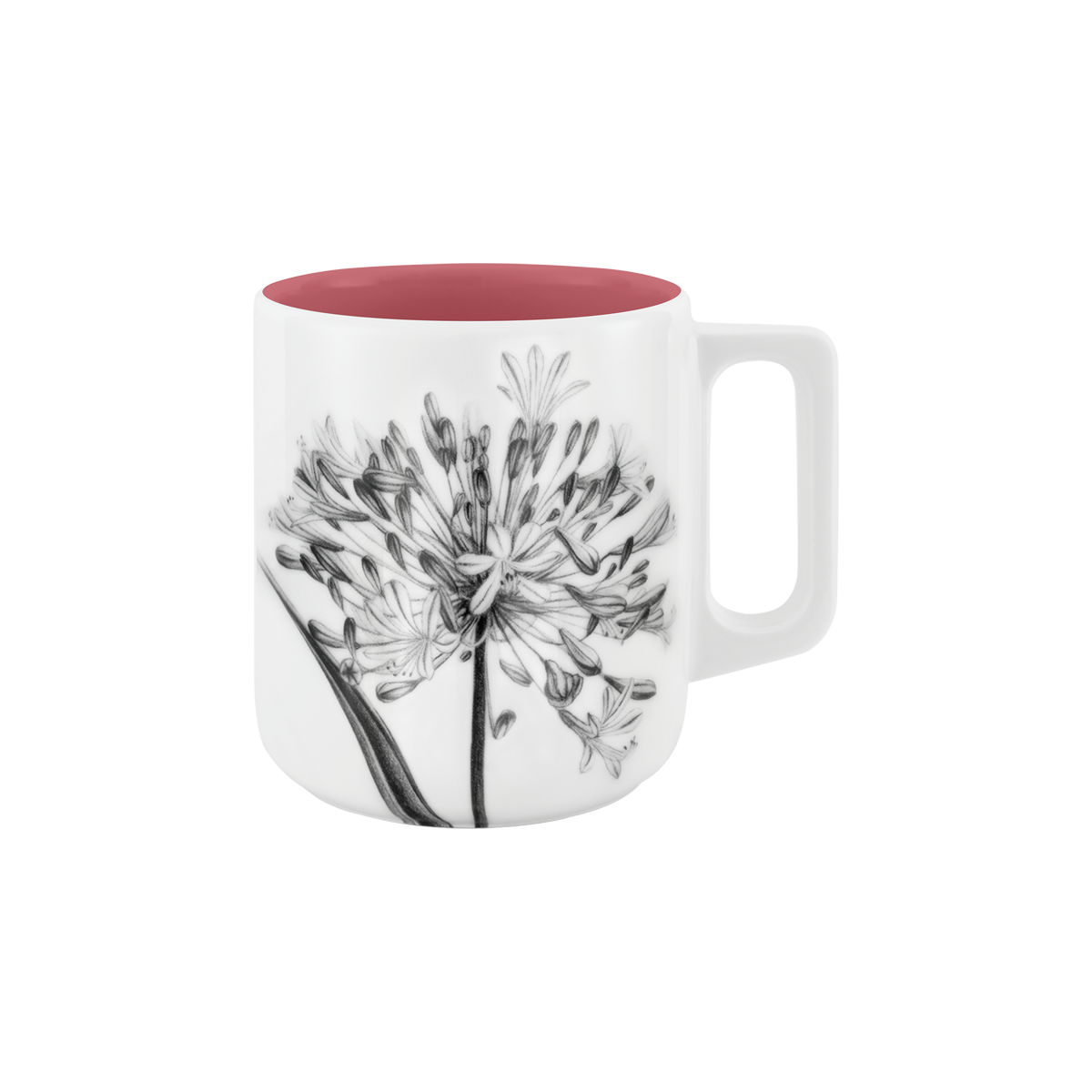 becher mit henkel . innen farbig . schmucklilie .