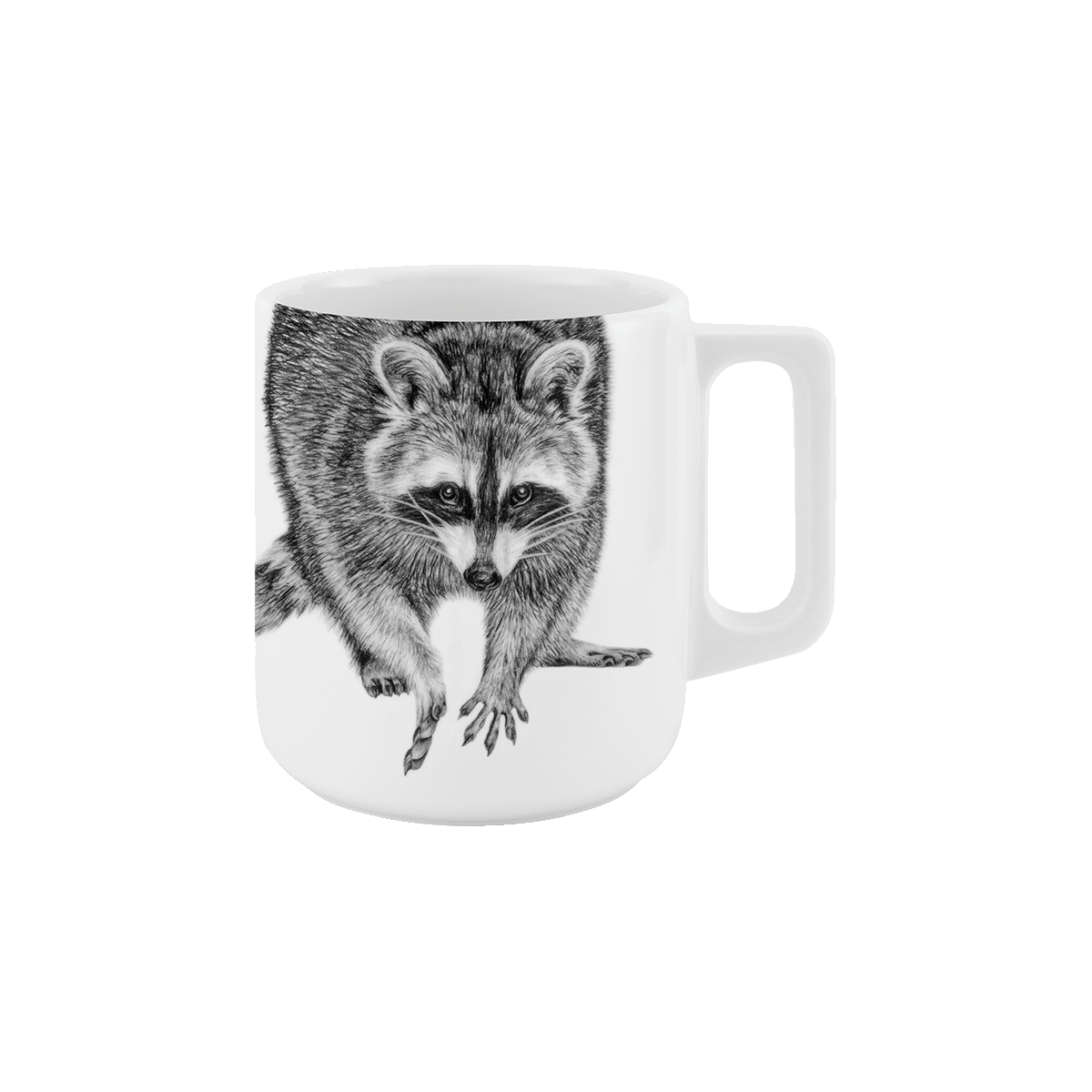 becher mit henkel . waschbär .