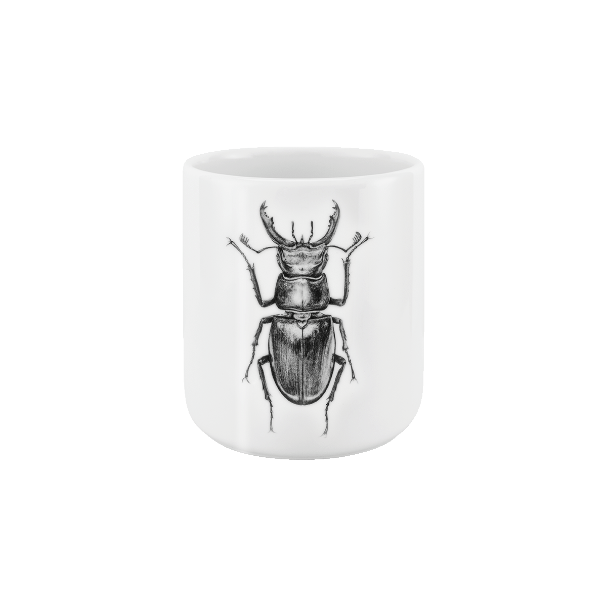 becher ohne henkel . hirschkäfer .