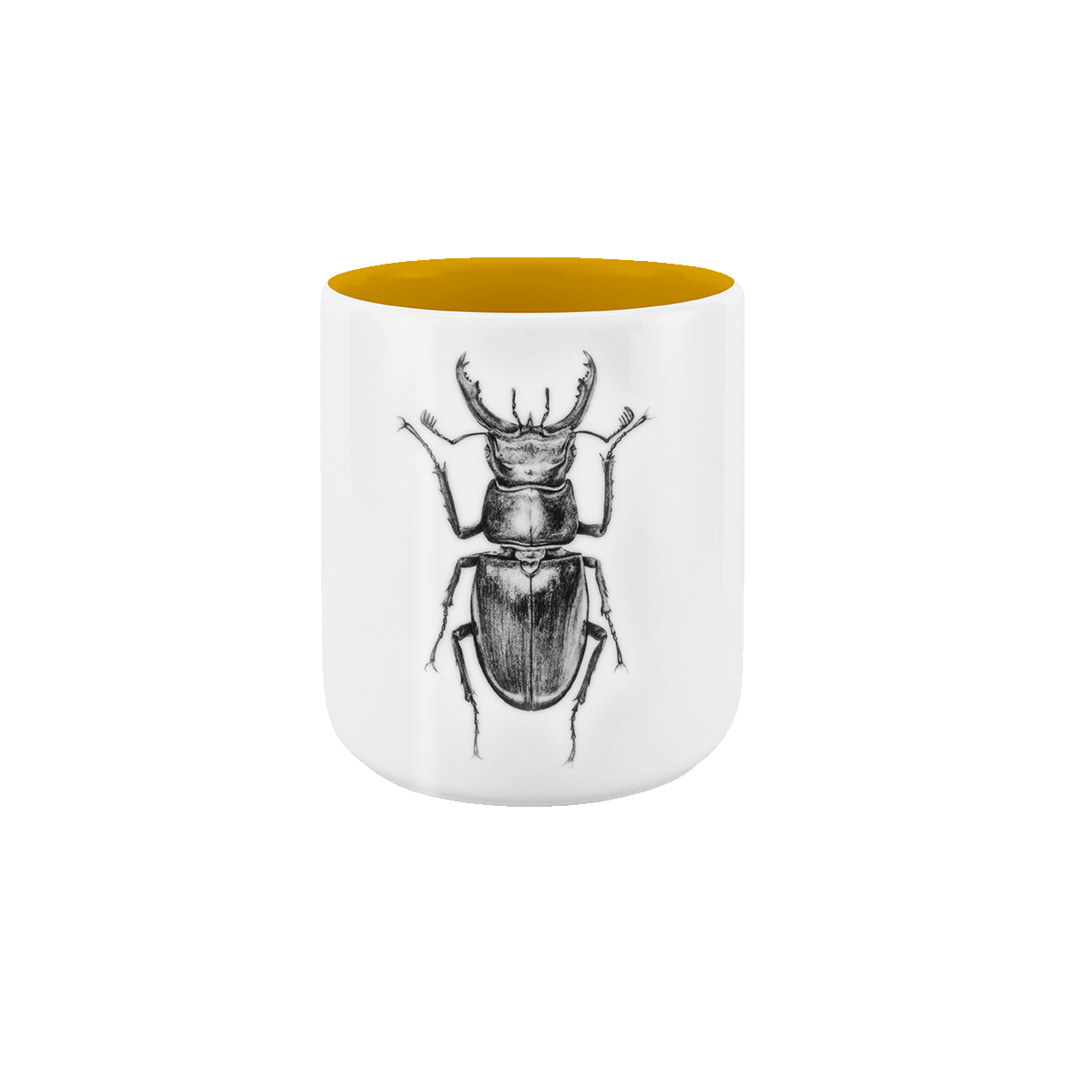 becher ohne henkel . innen farbig . hirschkäfer .