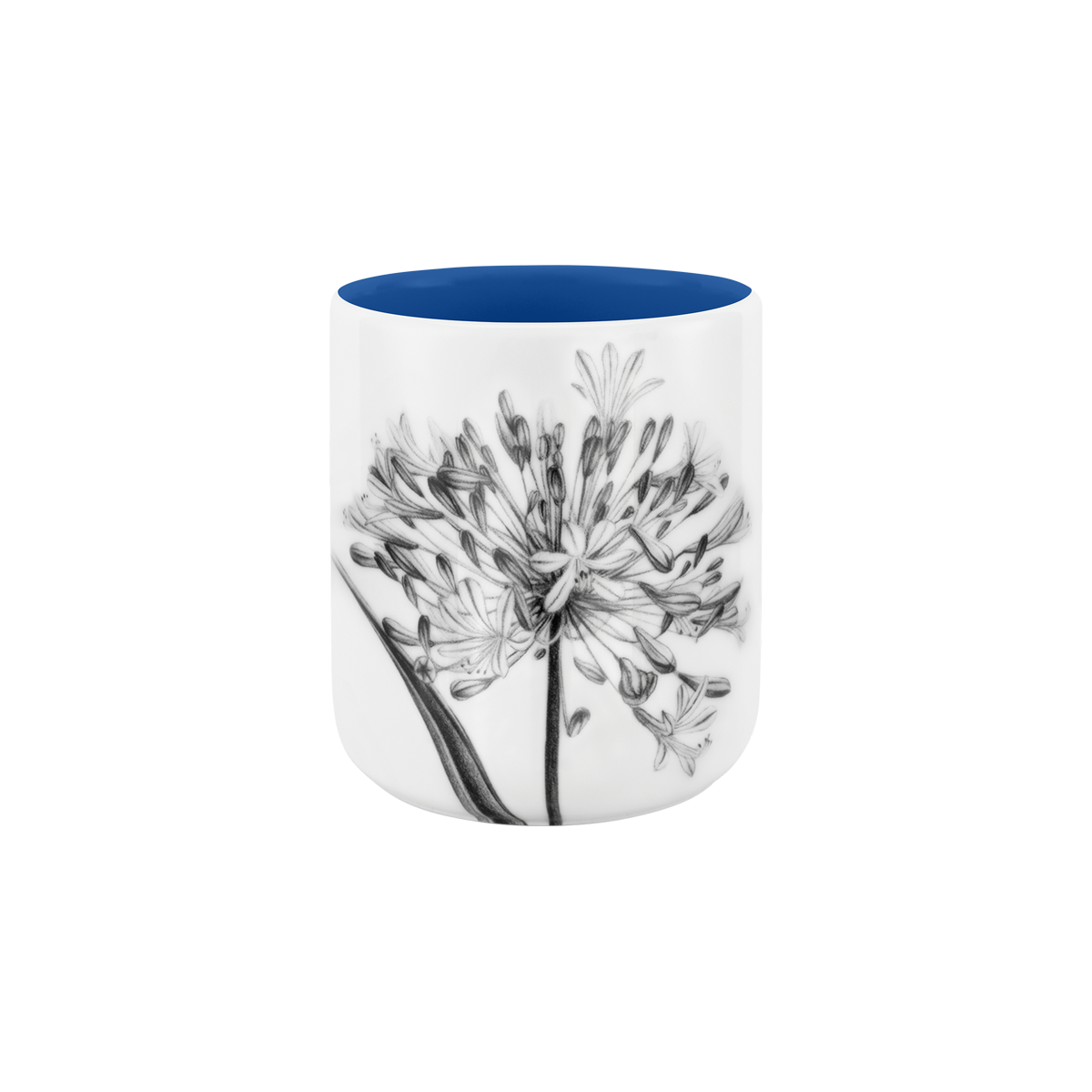 becher ohne henkel . innen farbig . schmucklilie .