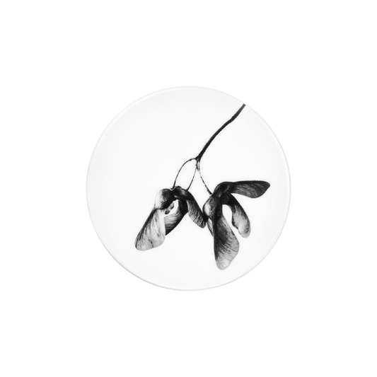 deckel 11 . untersetzer . ahorn IV .