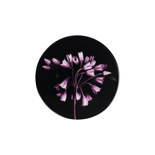 deckel 11 . untersetzer . bulgarischer lauch .