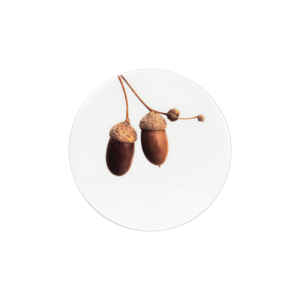 deckel 11 . untersetzer . eicheln .