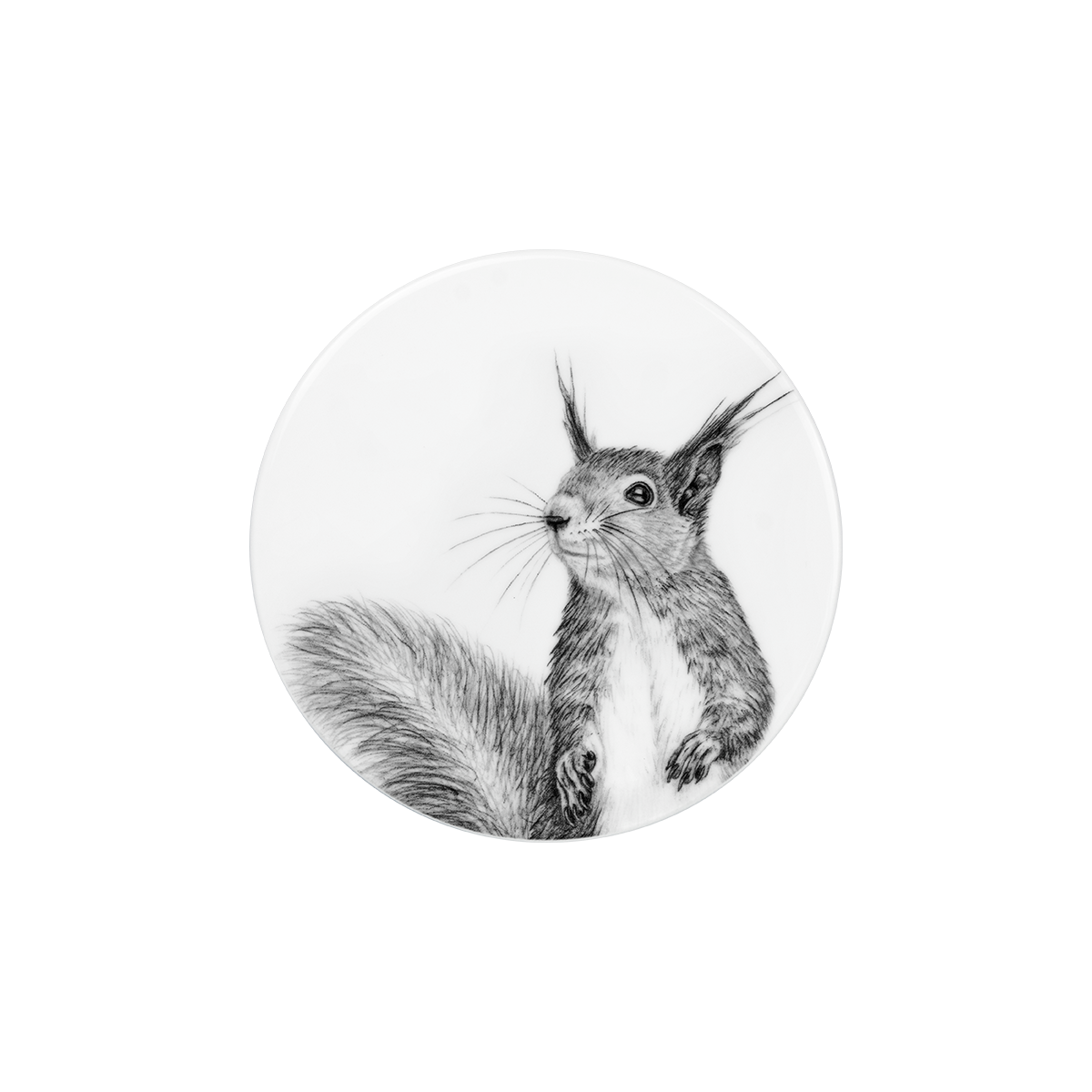 deckel 11 . untersetzer . eichhörnchen .
