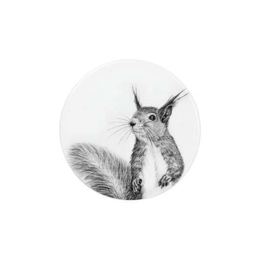 deckel 11 . untersetzer . eichhörnchen .