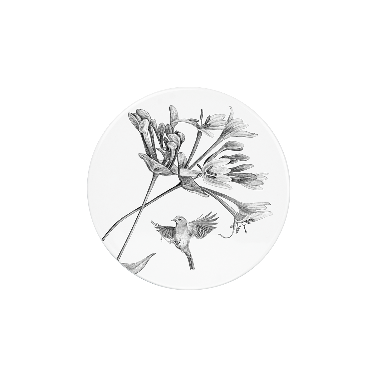 deckel 11 . untersetzer . geißblatt mit rotkehlchen .