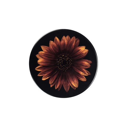 deckel 11 . untersetzer . gerbera .