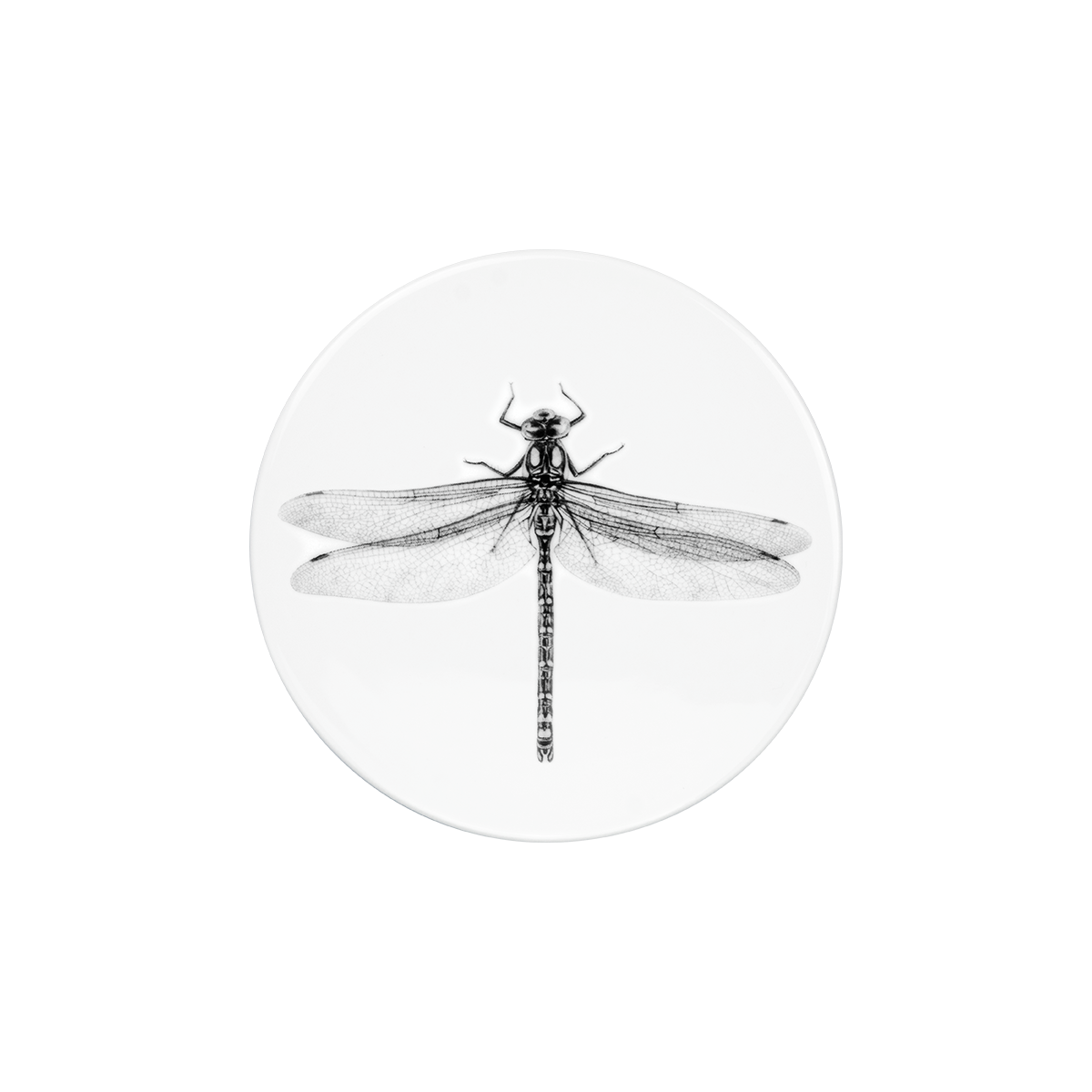 deckel 11 . untersetzer . libelle .