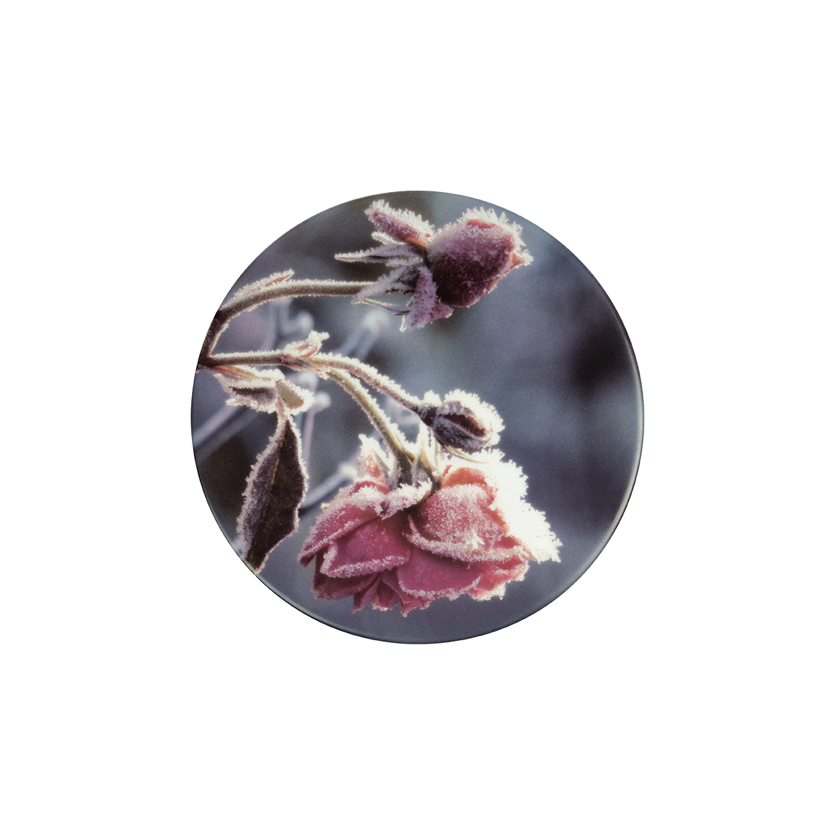 deckel 11 . untersetzer . rose im winter .