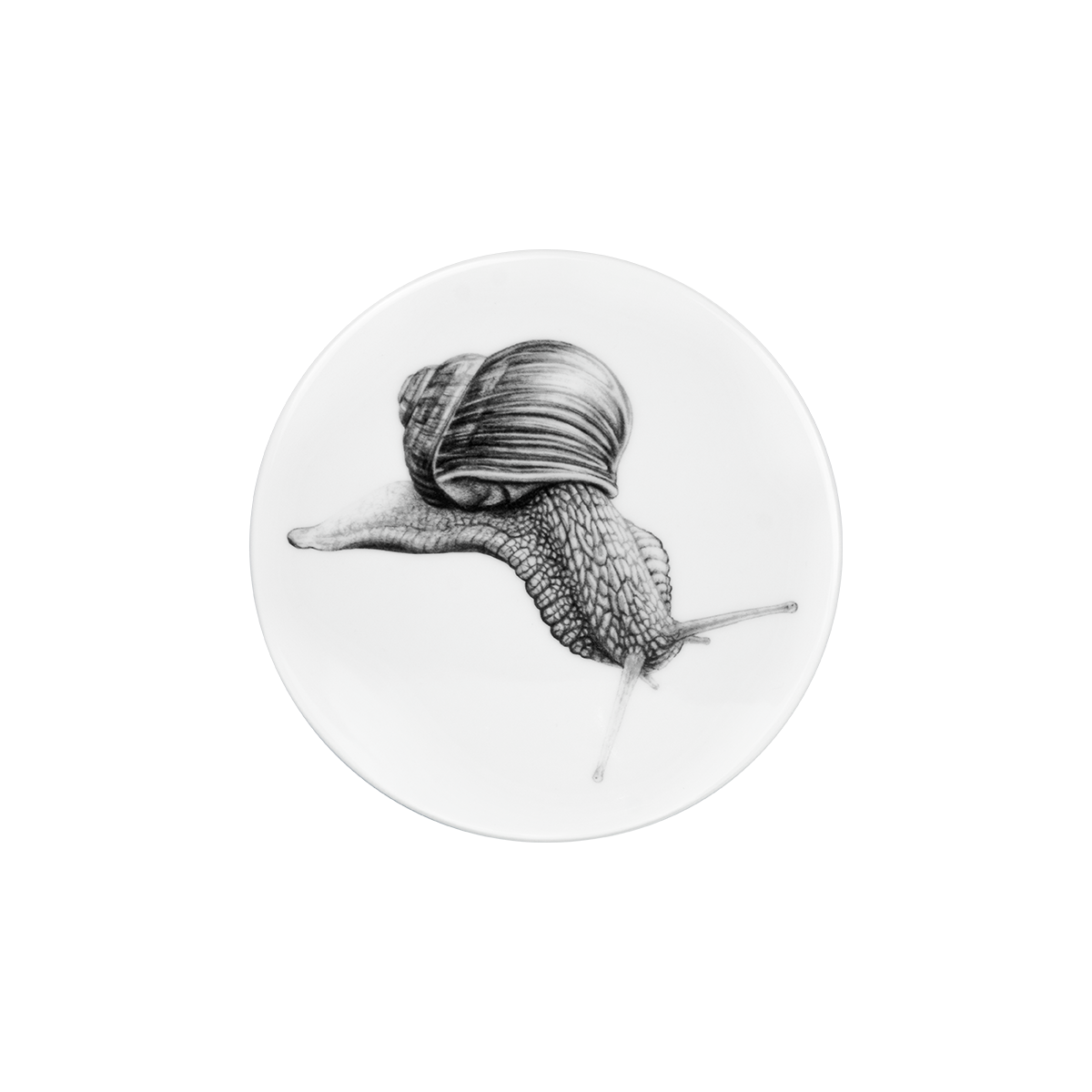 deckel 11 . untersetzer . schnecke .