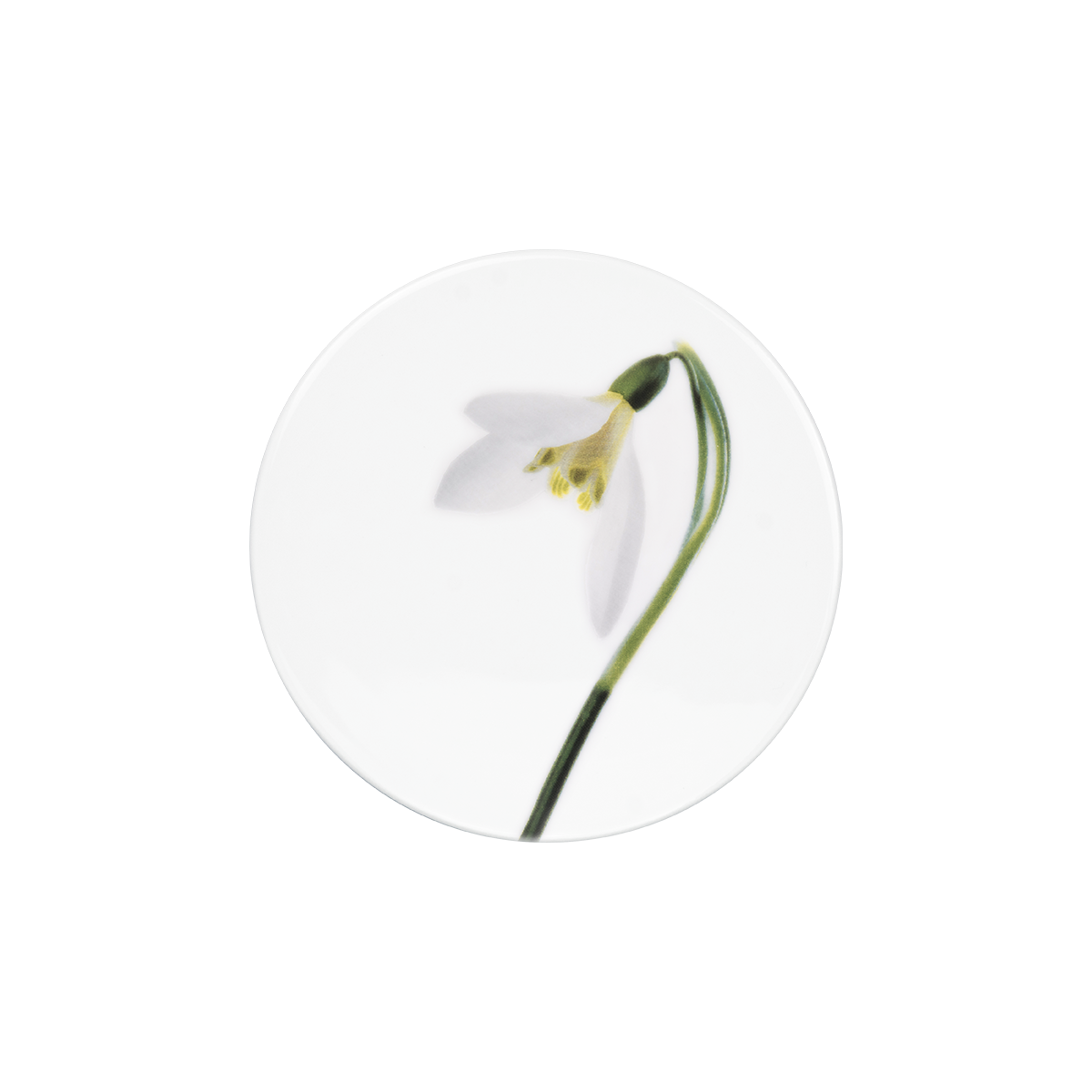 deckel 11 . untersetzer . schneeglöckchen .