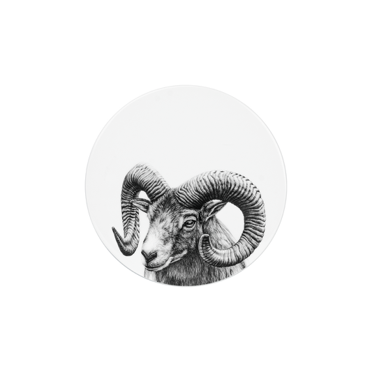 deckel 11 . untersetzer . widder .