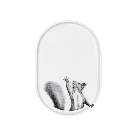 platte 23x16 . eichhörnchen greift .