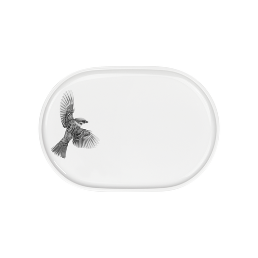 platte 23x16 . spatz im flug .