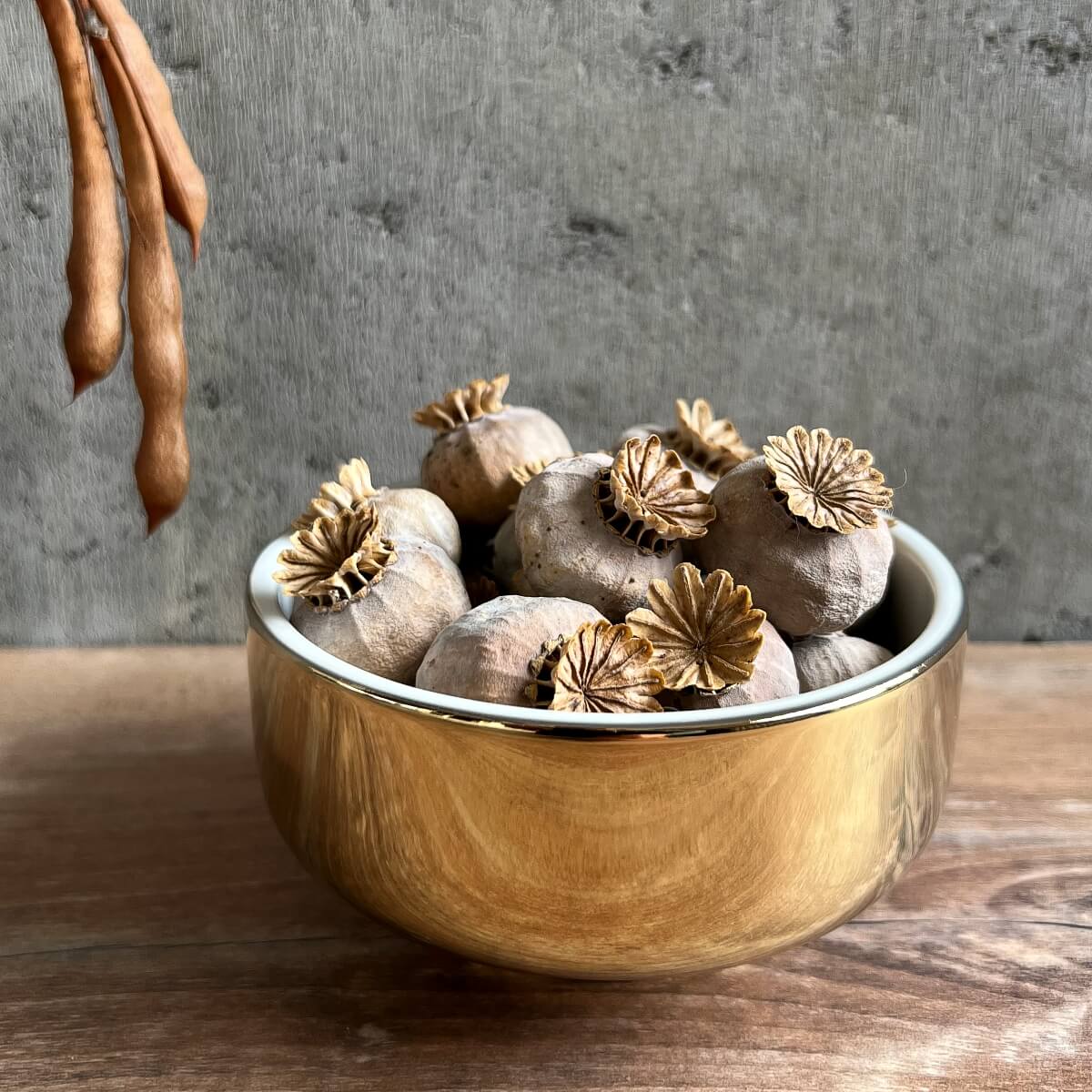 schale 11 . rauschgoldengel . handgespritzt außen .