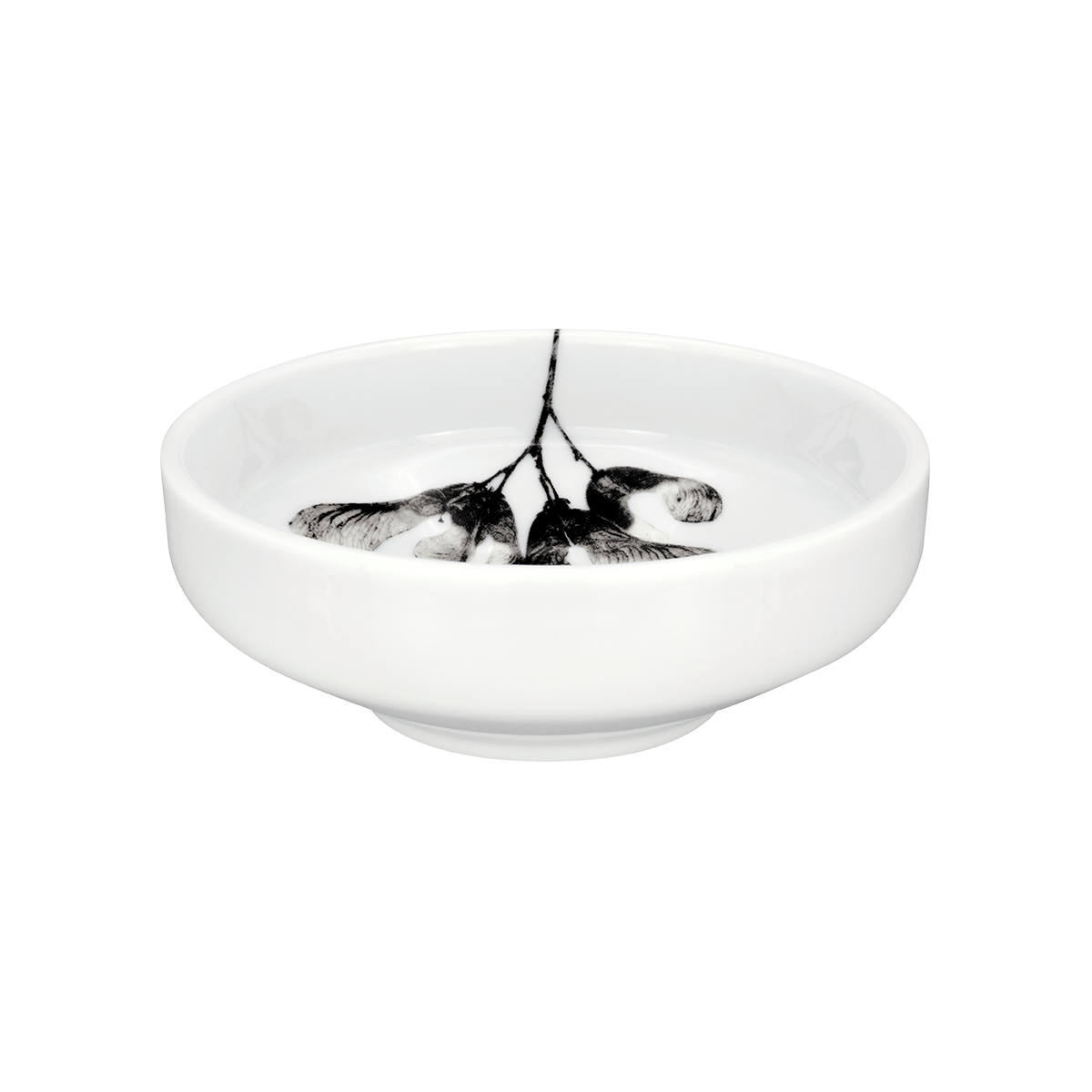 schale 15 . ahorn III .