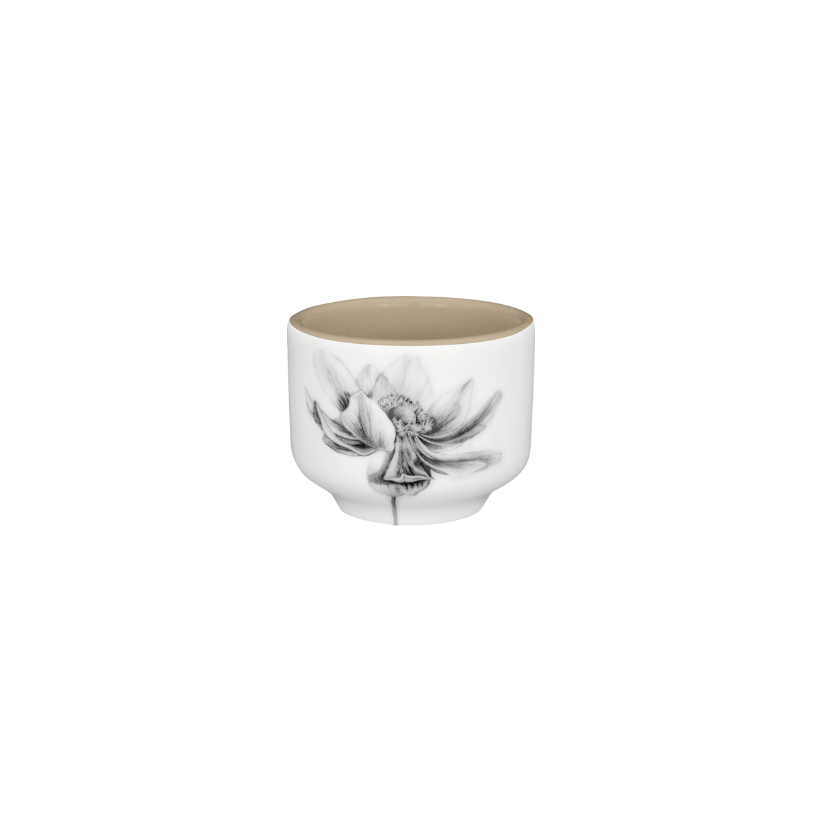 schale 6 . anemone .zuckersüße mokkatorte