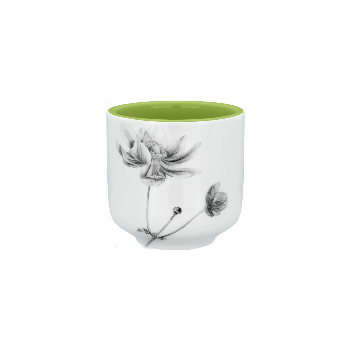 schale 8 . anemone . das erste laub .