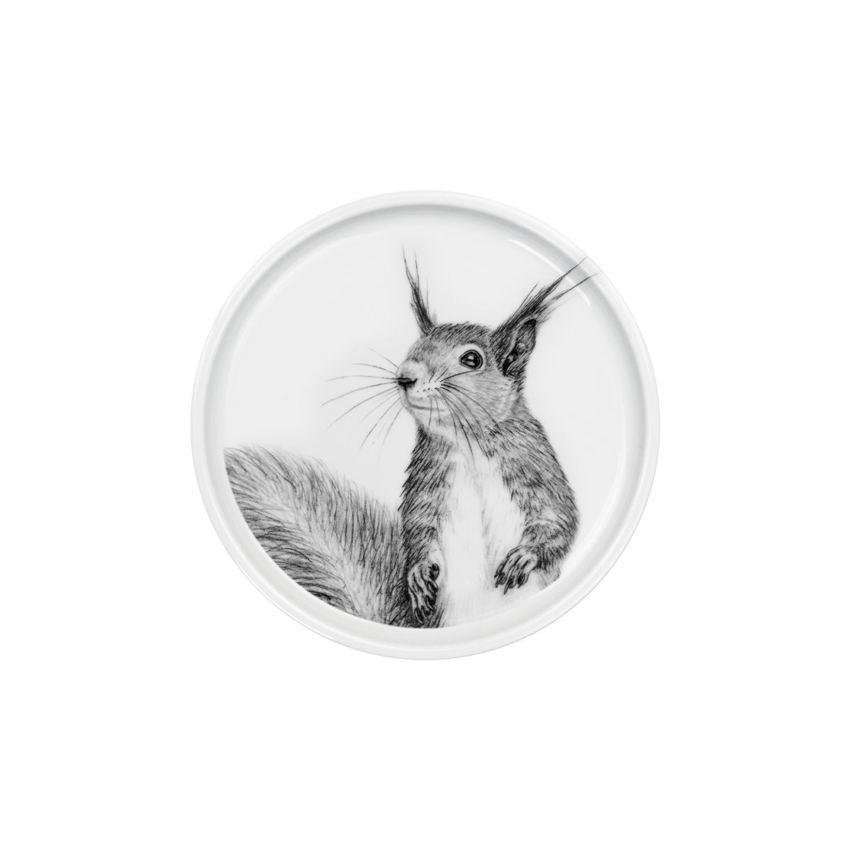 teller 17 . eichhörnchen .