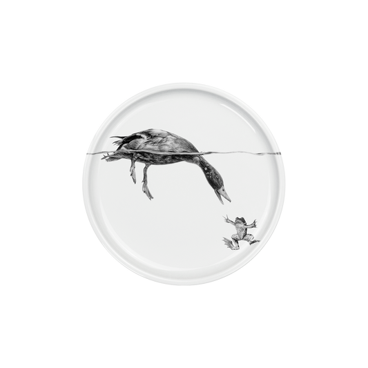 teller 17 . ente grüßt frosch .