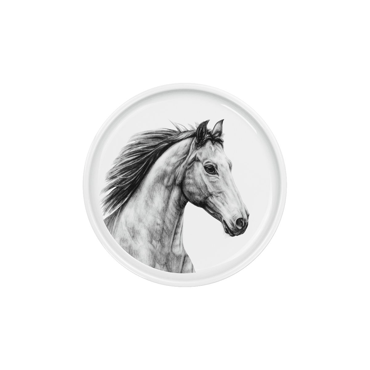teller 17 . pferd .