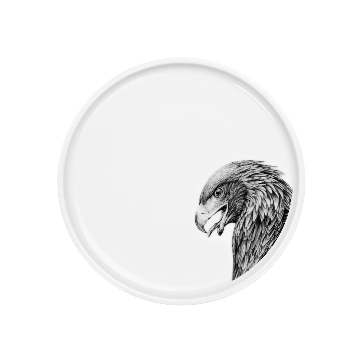 teller 21 . adler .