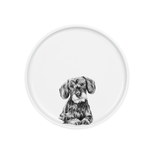 teller 21 . dackel .