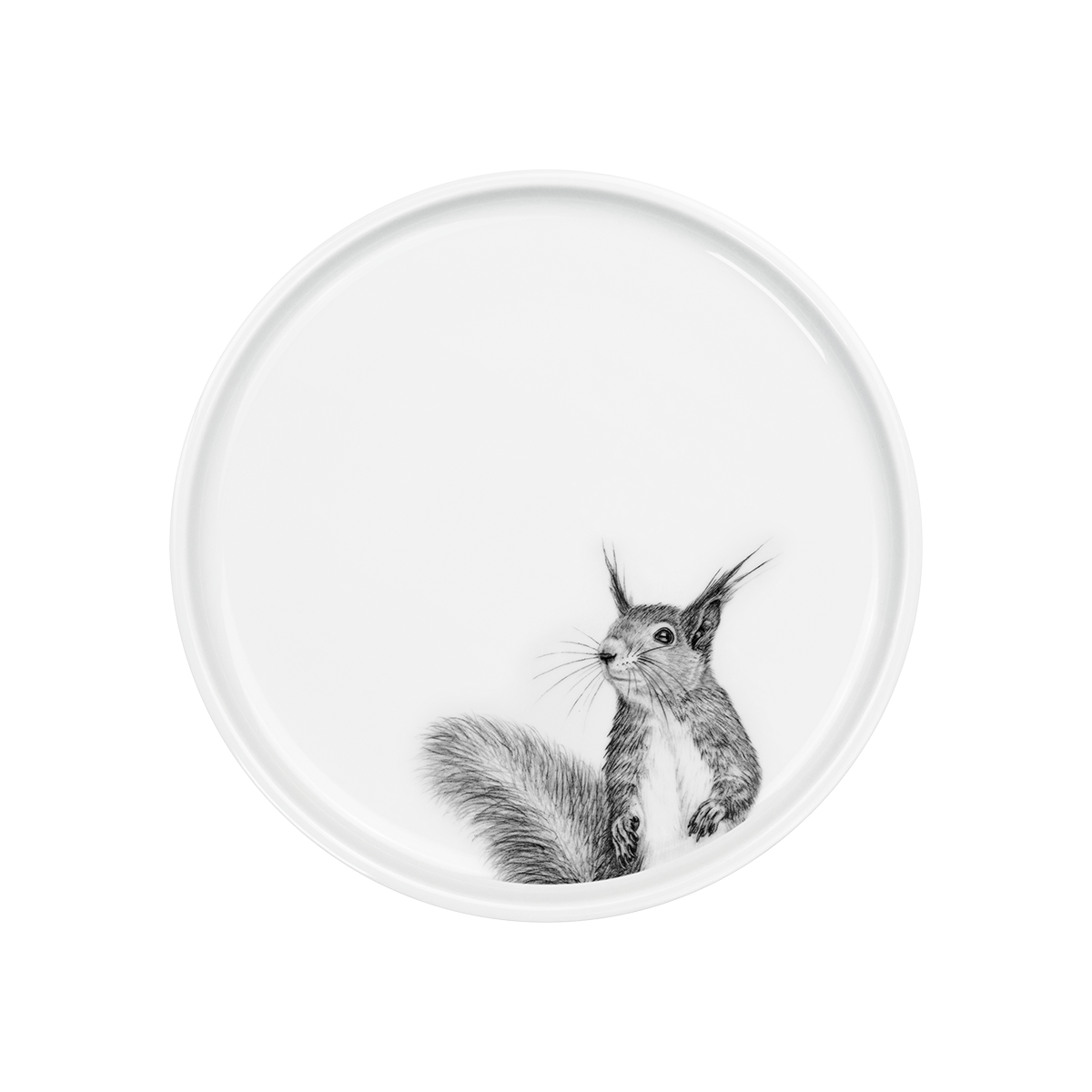 teller 21 . eichhörnchen .