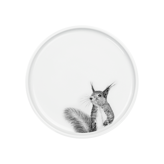 teller 21 . eichhörnchen .