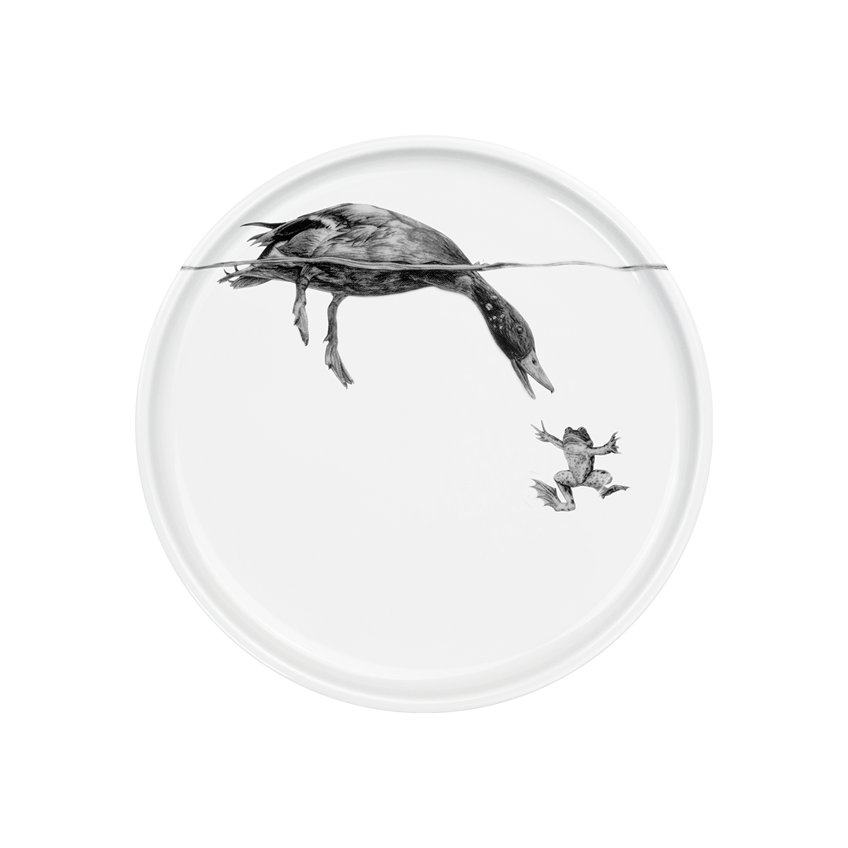 teller 21 . ente grüßt frosch .