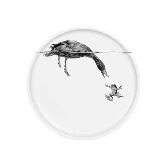 teller 21 . ente grüßt frosch .