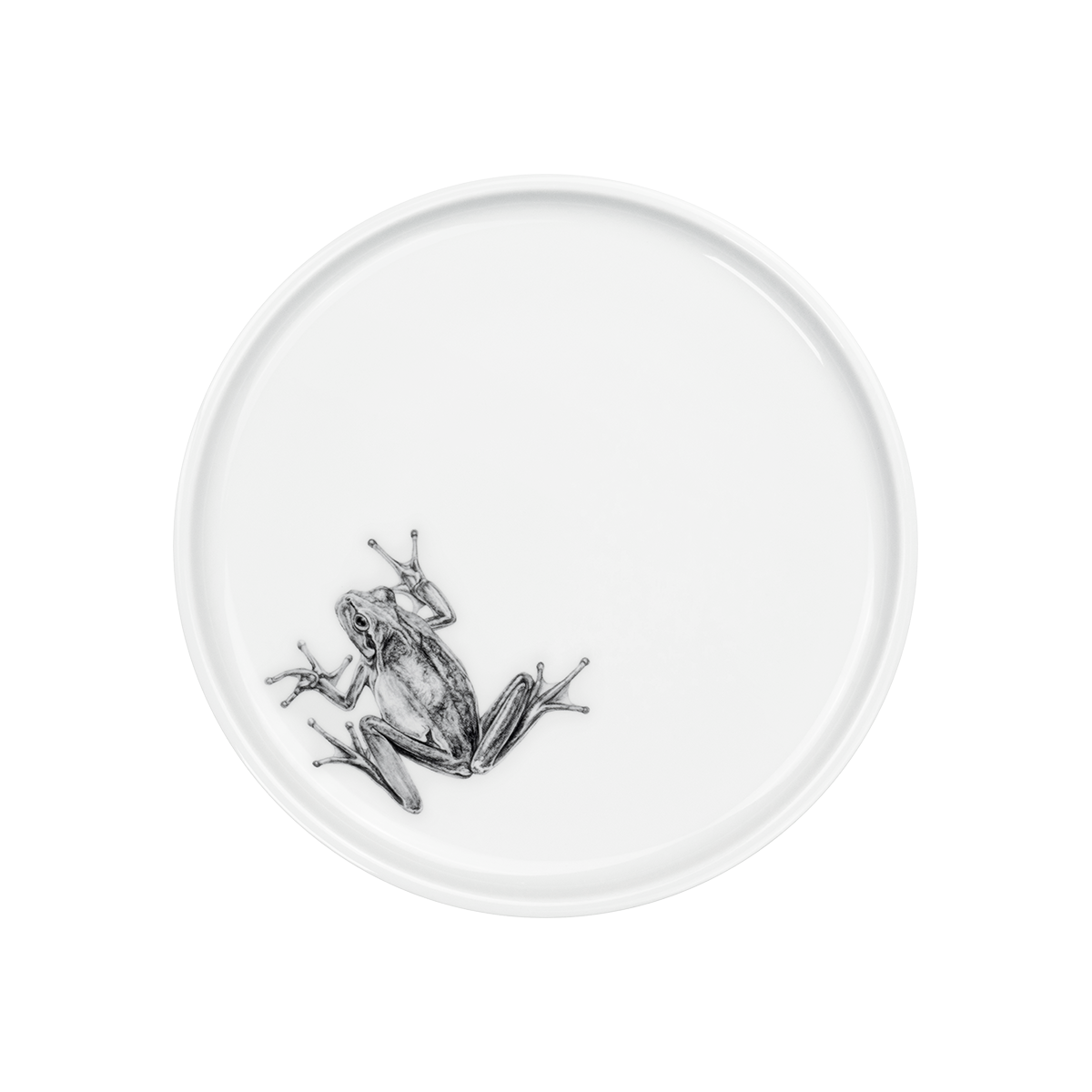 teller 21 . frosch .