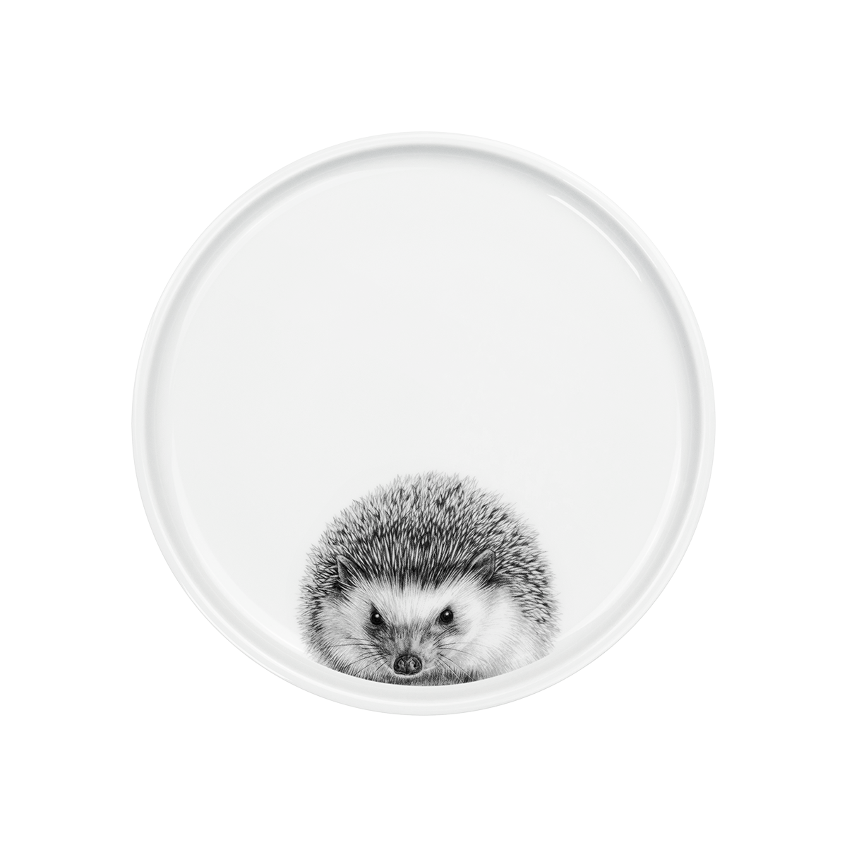 teller 21 . igel .