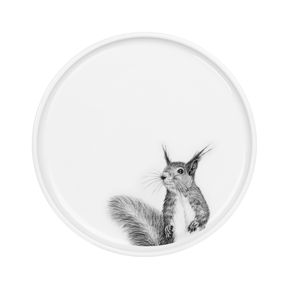teller 24 . eichhörnchen .