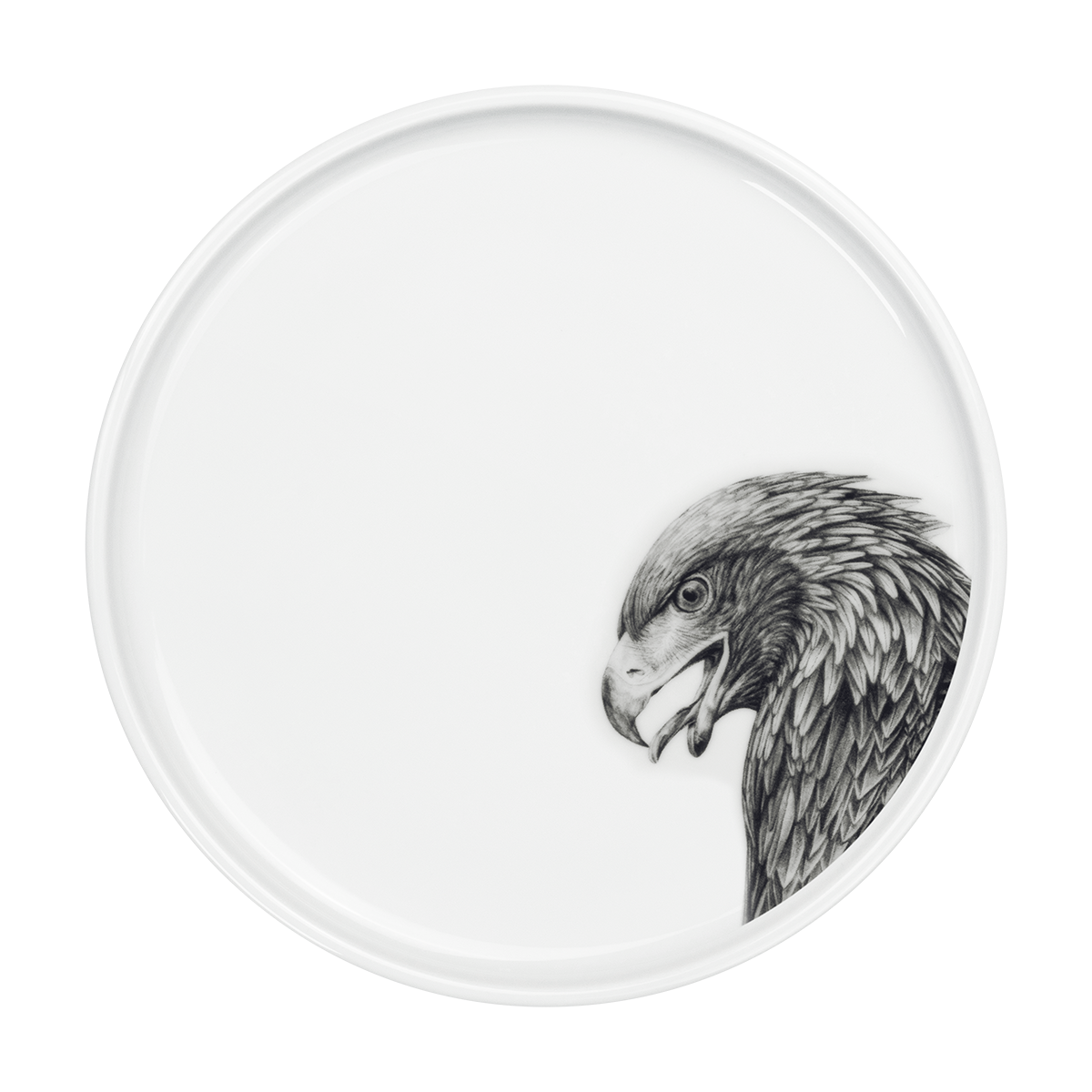 teller 26 . adler .