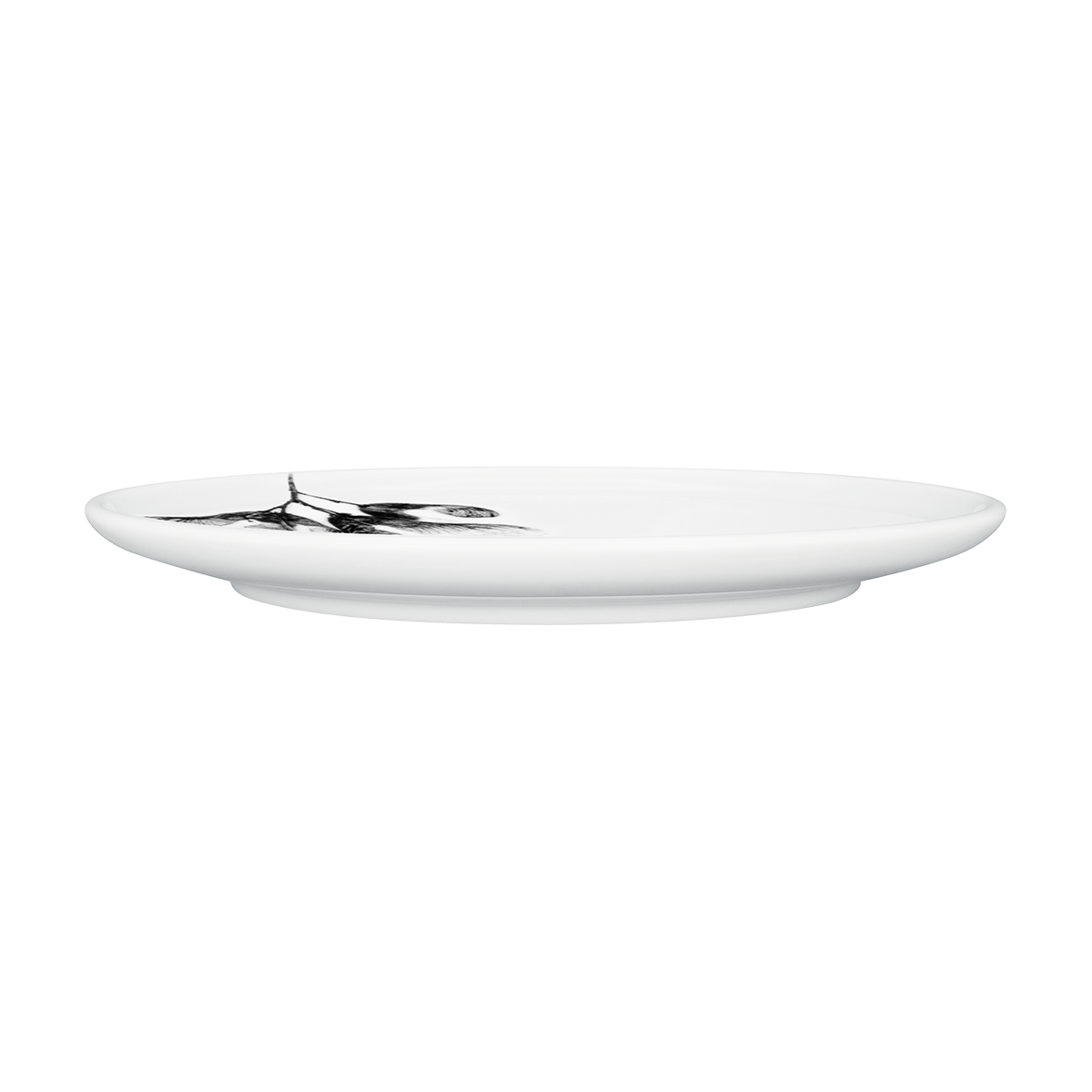 teller 26 . ahorn III .