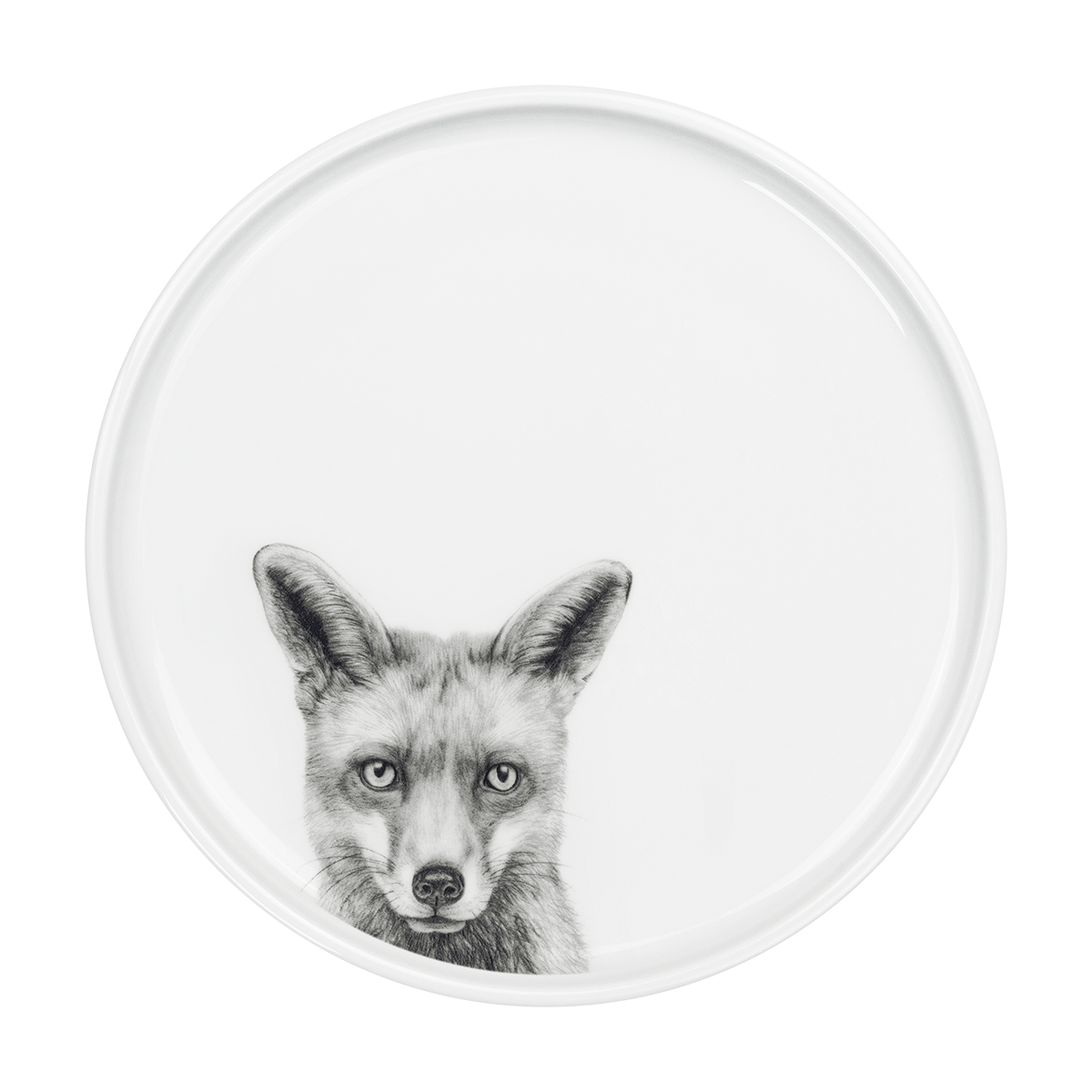 teller 26 . fuchs .