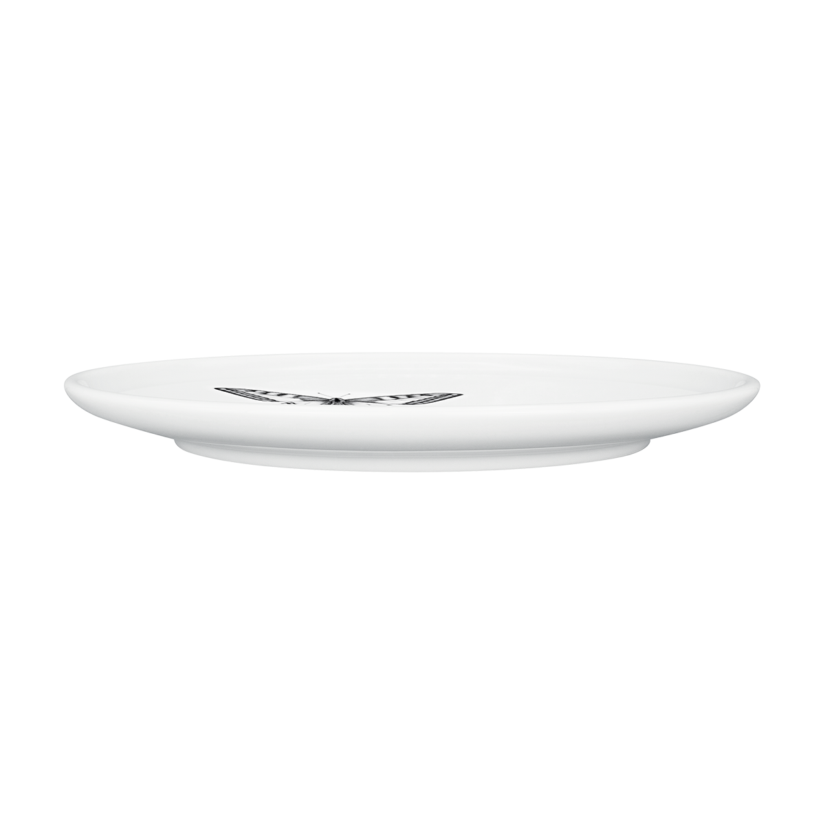 teller 26 . schmetterling .