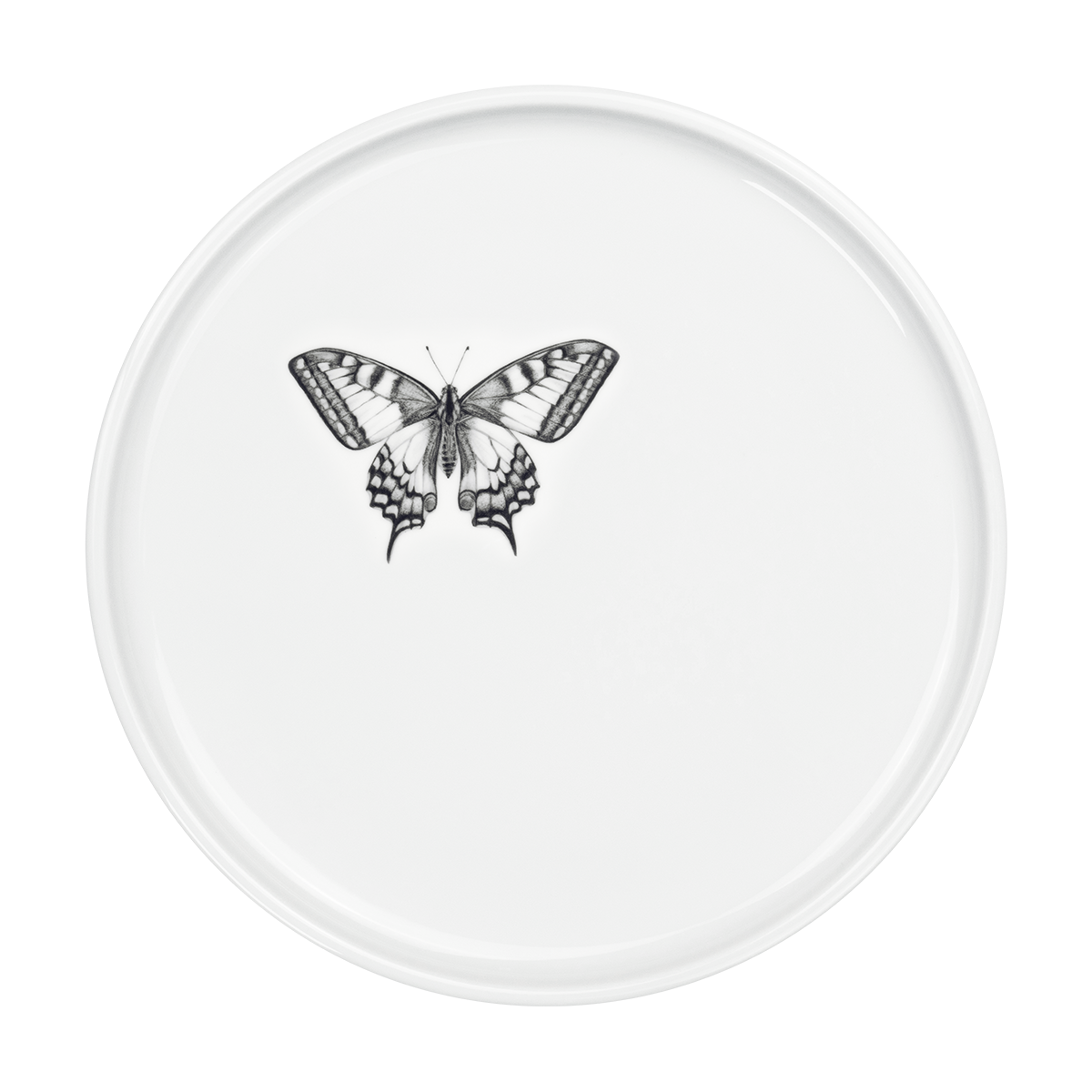 teller 26 . schmetterling .